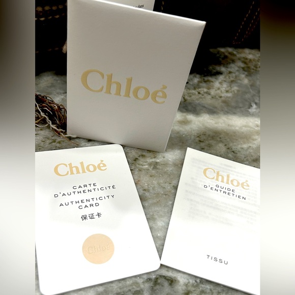 NWT Chloe Authentic Cashmere/Calfskin Large Multicolor Bag - Picture 7 of 16